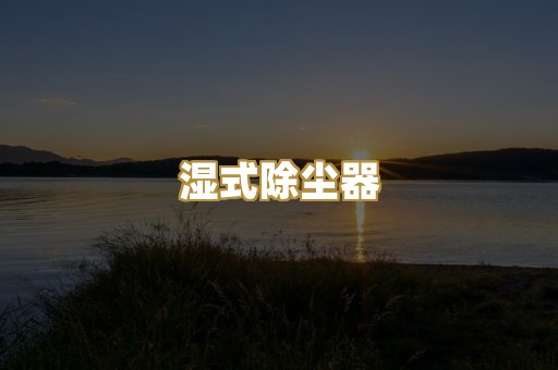 湿式除尘器